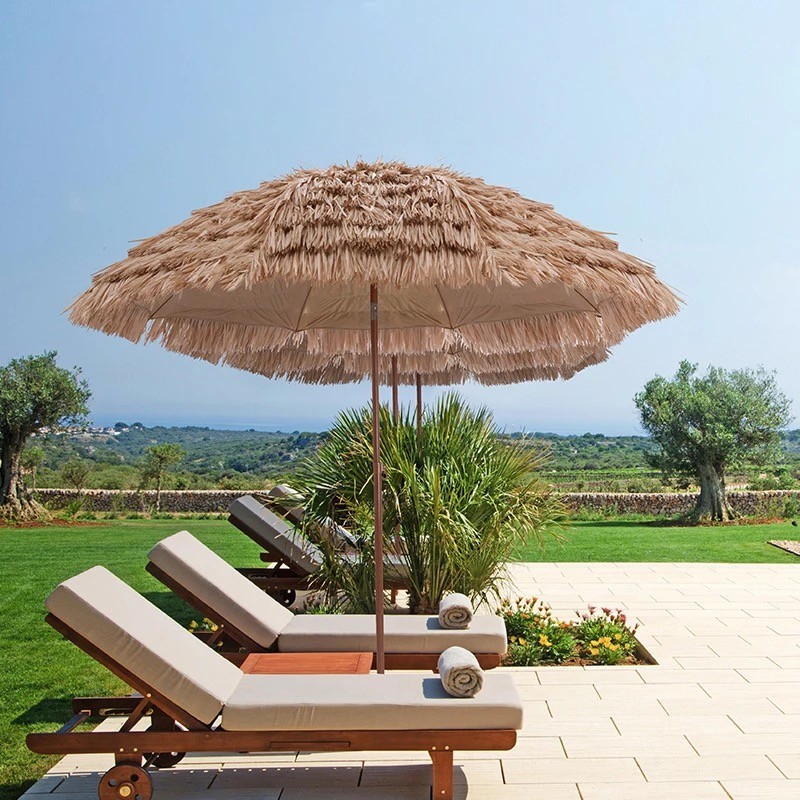 Hawaii Parasol Natur